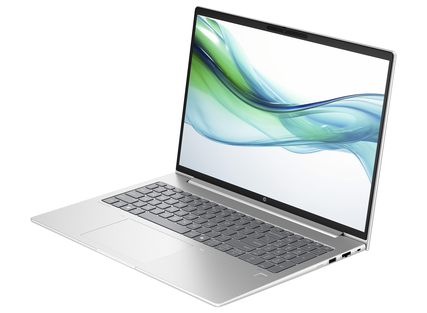 HP ProBook 460 G11 - Notebook